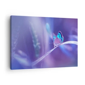 Cuadro sobre lienzo - Impresión de Imagen - Una delicada mariposa azul sobre un tallo en luz violeta. - 70x50cm - Una joya de la naturaleza - Decoración de pared moderna para salón y dormitorio ARTTOR
