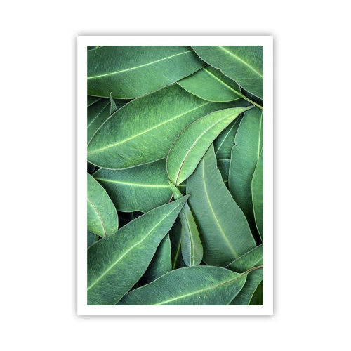 Póster - Jugosidad y frescura - 70x100 cm