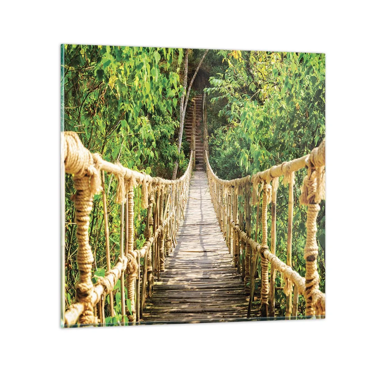 Cuadro sobre vidrio - Impresiones sobre Vidrio - Suspendido en verde - 70x70 cm