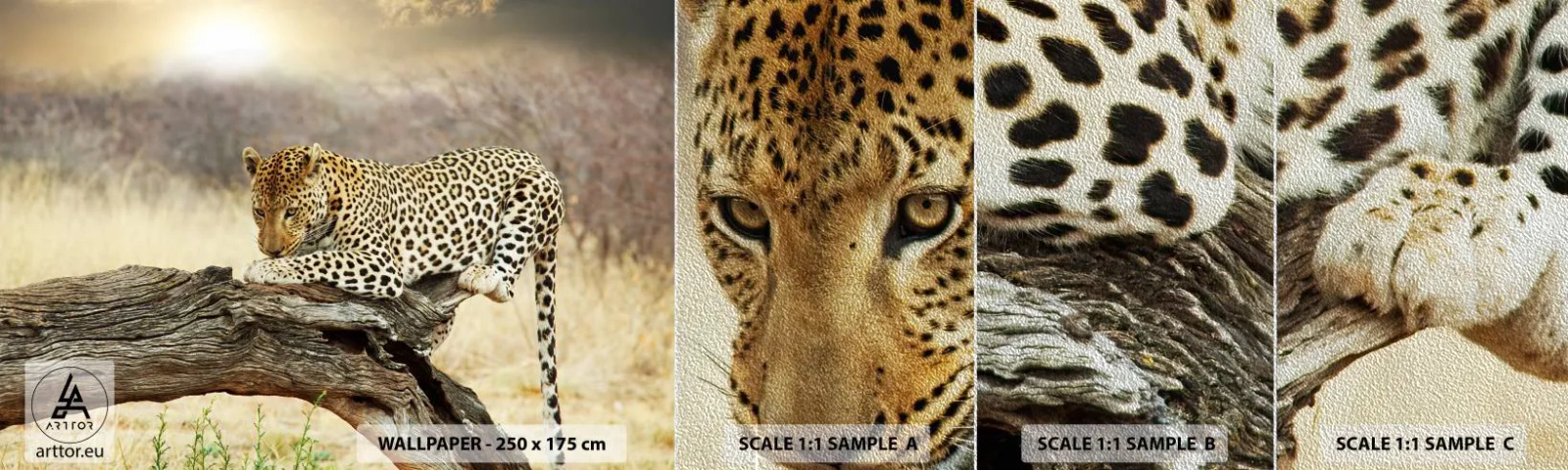 Muestra de fotomural Premium Sand - Voy por mi cuenta - animales, leopardo, África - 100x30 cm