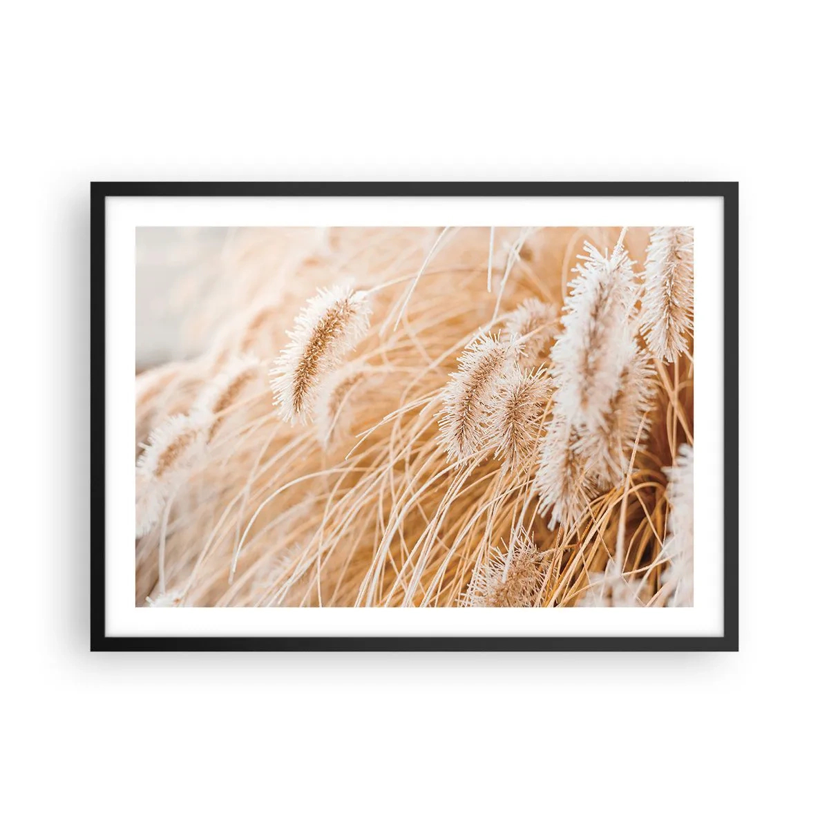 Póster en marco negro - Primer plano de hierbas delicadas y doradas a la luz del sol. - 70x50cm - El dorado susurro de las hierbas - Decoración de pared moderna para salón y dormitorio ARTTOR