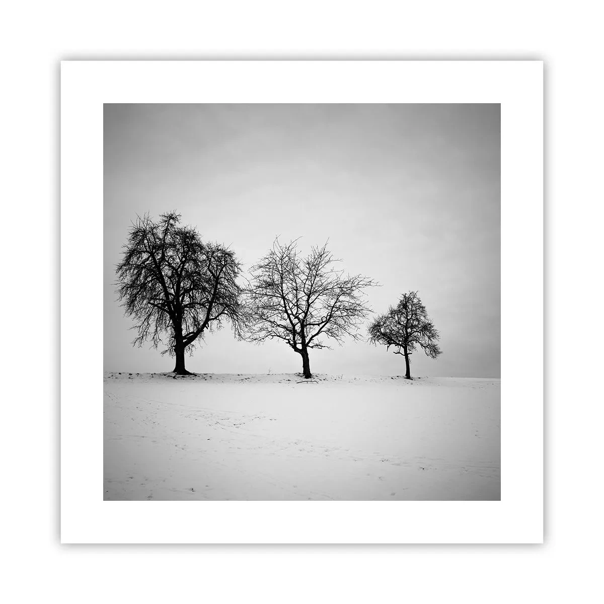 Póster - ¿Con qué sueñan? - 40x40 cm