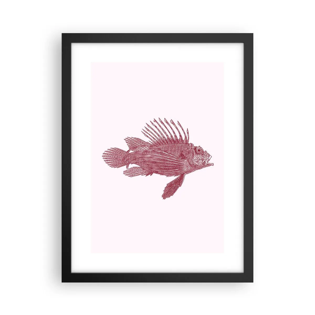 Póster en marco negro - Un habitante de aguas exóticas - 30x40 cm