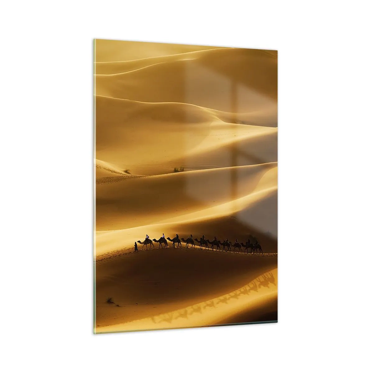 Cuadro sobre vidrio - Impresiones sobre Vidrio - Una caravana en el desierto bajo el sol. - 50x70cm - Caravana sobre las olas del desierto - Decoración de pared moderna para salón y dormitorio ARTTOR