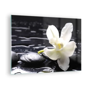 Cuadro sobre vidrio - Impresiones sobre Vidrio - Orquídea blanca sobre piedras negras mojadas - 70x50cm - Un estudio en blanco y negro - Decoración de pared moderna para salón y dormitorio ARTTOR