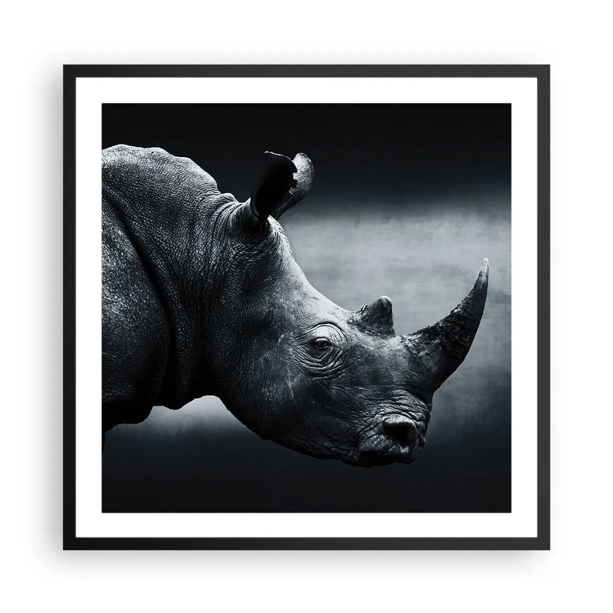 Póster en marco negro - Perfil derecho - 60x60 cm