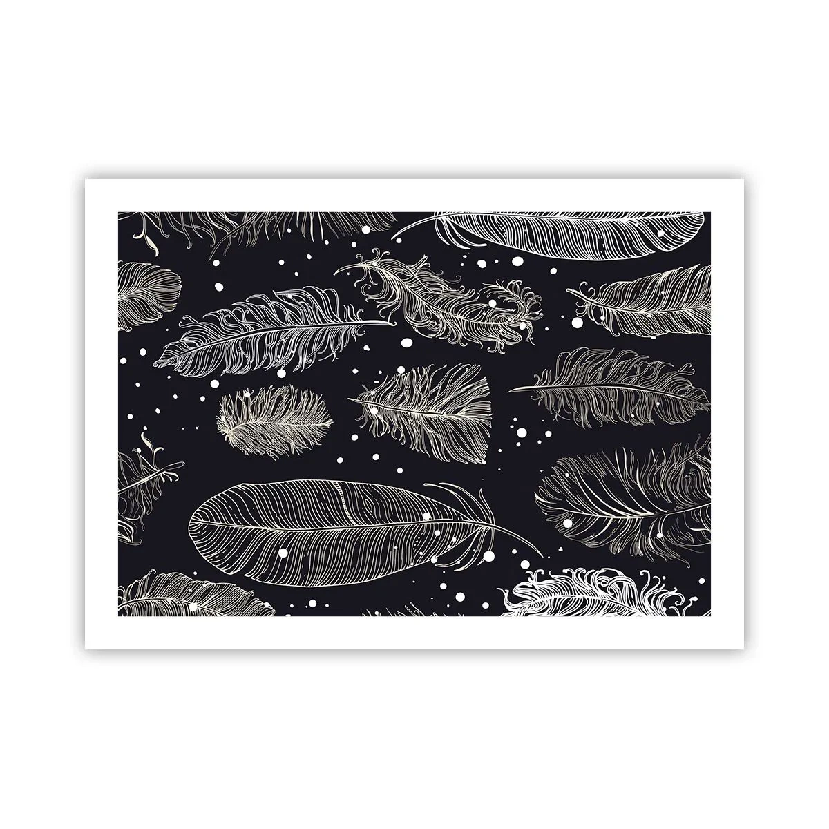 Póster - Encaje de plumas - 70x50 cm