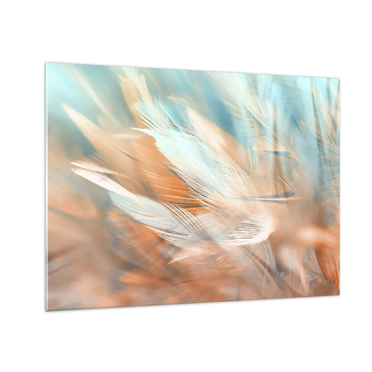 Cuadro sobre vidrio - Impresiones sobre Vidrio - Delicadas plumas en tonos pastel turquesa y melocotón. - 70x50cm - En la tierra de la suavidad - Decoración de pared moderna para salón y dormitorio ARTTOR