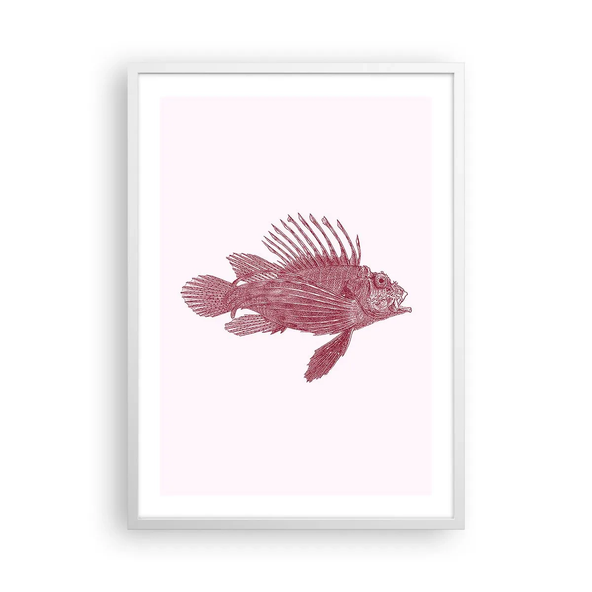 Póster en marco blanco - Un habitante de aguas exóticas - 50x70 cm