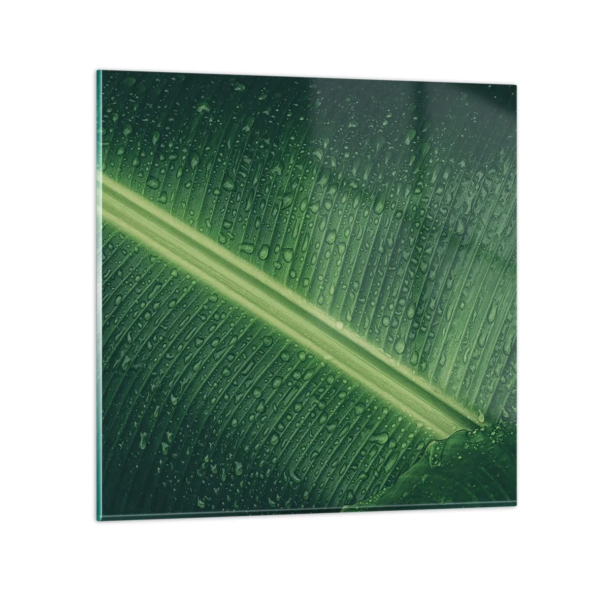 Cuadro sobre vidrio - Impresiones sobre Vidrio - Estructura del verde - 70x70 cm