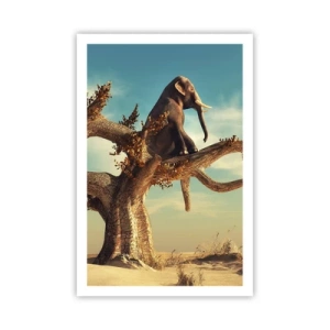 Póster - Un nuevo punto de vista - 61x91 cm