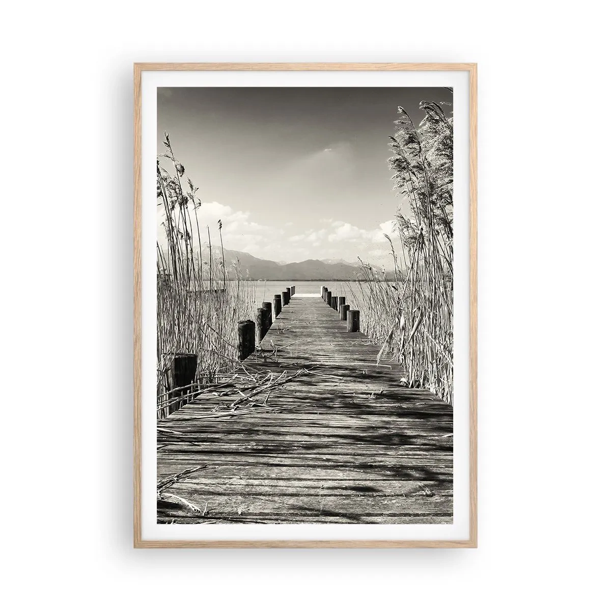 Póster en marco roble claro - En la quietud de los juncos - 70x100 cm