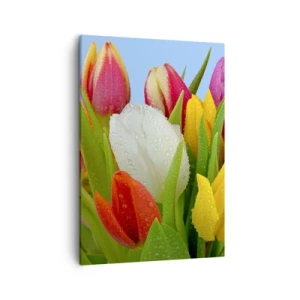 Cuadro sobre lienzo - Impresión de Imagen - Tulipanes coloridos cubiertos de gotas de rocío sobre un fondo azul. - 50x70cm - Arco iris floral en gotas de rocío - Decoración de pared moderna para salón y dormitorio ARTTOR