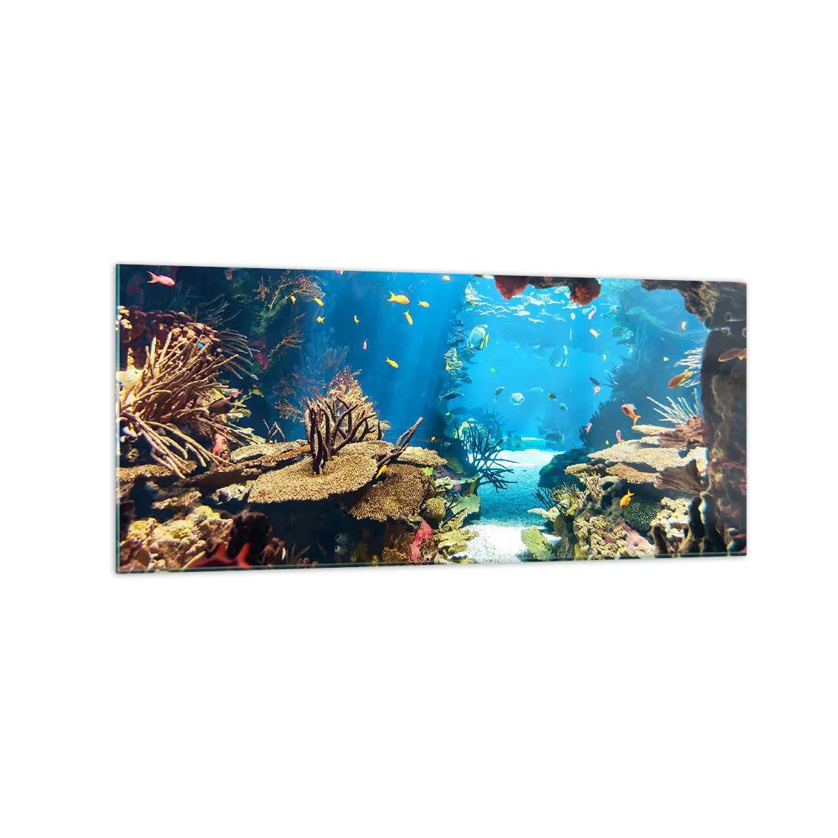 Cuadro sobre vidrio - Impresiones sobre Vidrio - Mundo submarino con arrecifes de coral y peces. - 120x50cm - Ni siquiera has soñado - Decoración de pared moderna para salón y dormitorio ARTTOR