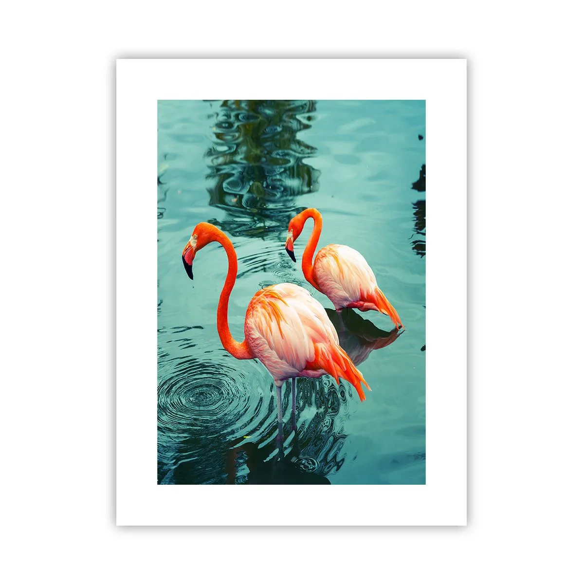 Póster - Estamos de moda - 30x40 cm