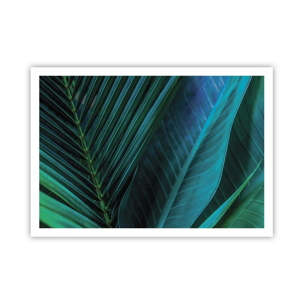 Póster - Primer plano de hojas verdes tropicales - 100x70cm - Anatomía del verde - Decoración de pared moderna para salón y dormitorio ARTTOR