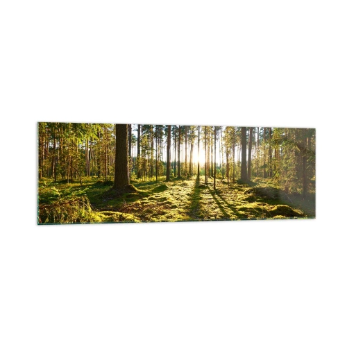 Cuadro sobre vidrio - Impresiones sobre Vidrio - Bosque verde iluminado por la luz del sol sobre el musgo. - 160x50cm - ...Más allá de los siete bosques - Decoración de pared moderna para salón y dormitorio ARTTOR