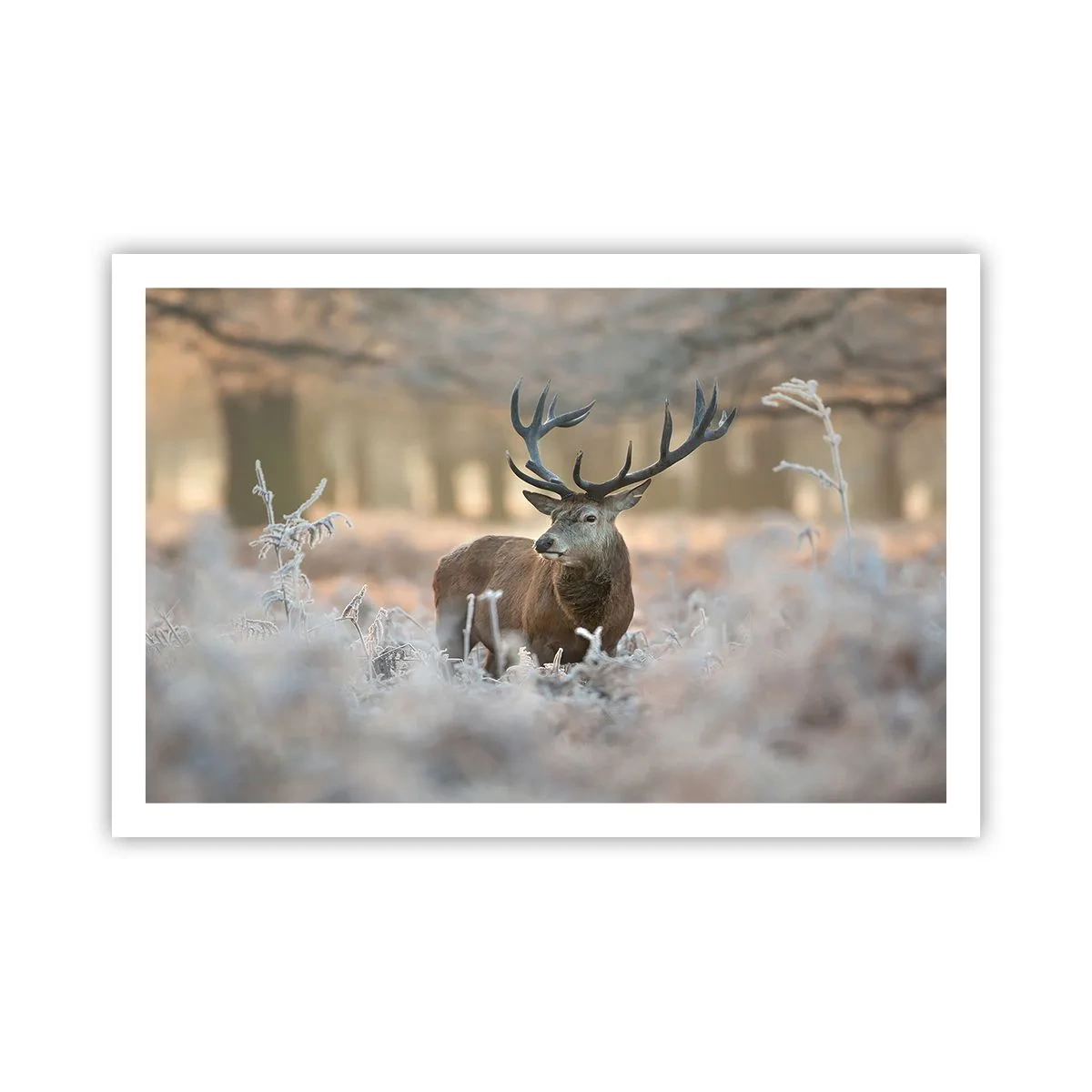 Póster - Una mañana fresca - 91x61 cm