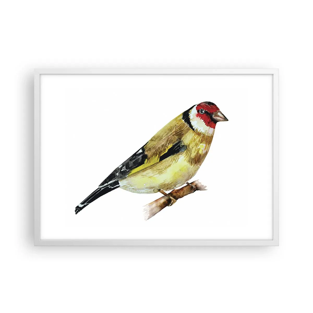 Póster en marco blanco - Retrato de pájaro - 70x50 cm