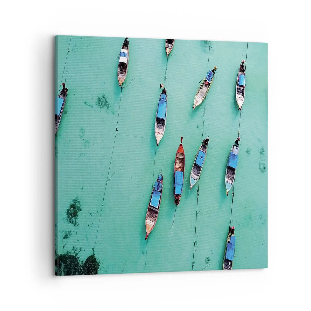 Cuadro sobre lienzo - Impresión de Imagen - En alegre espera - 50x50 cm