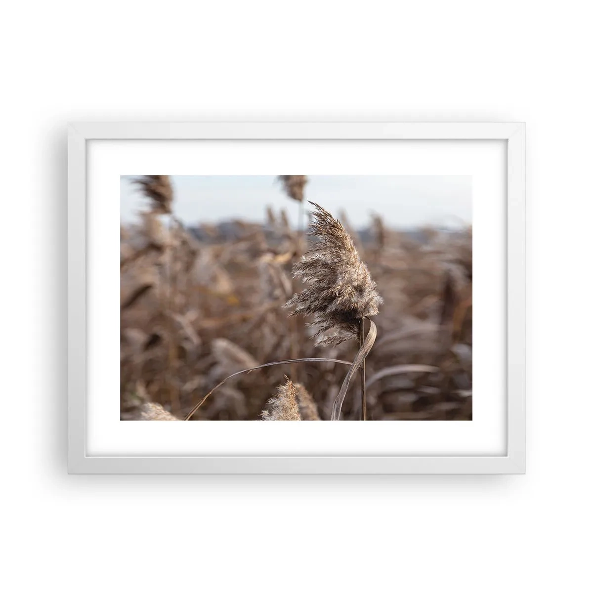 Póster en marco blanco - Es hora de volar con el viento - 40x30 cm