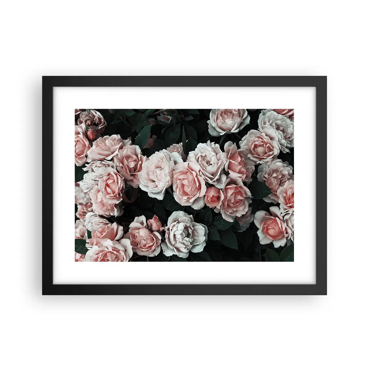 Póster en marco negro - Conjunto de rosas - 40x30 cm