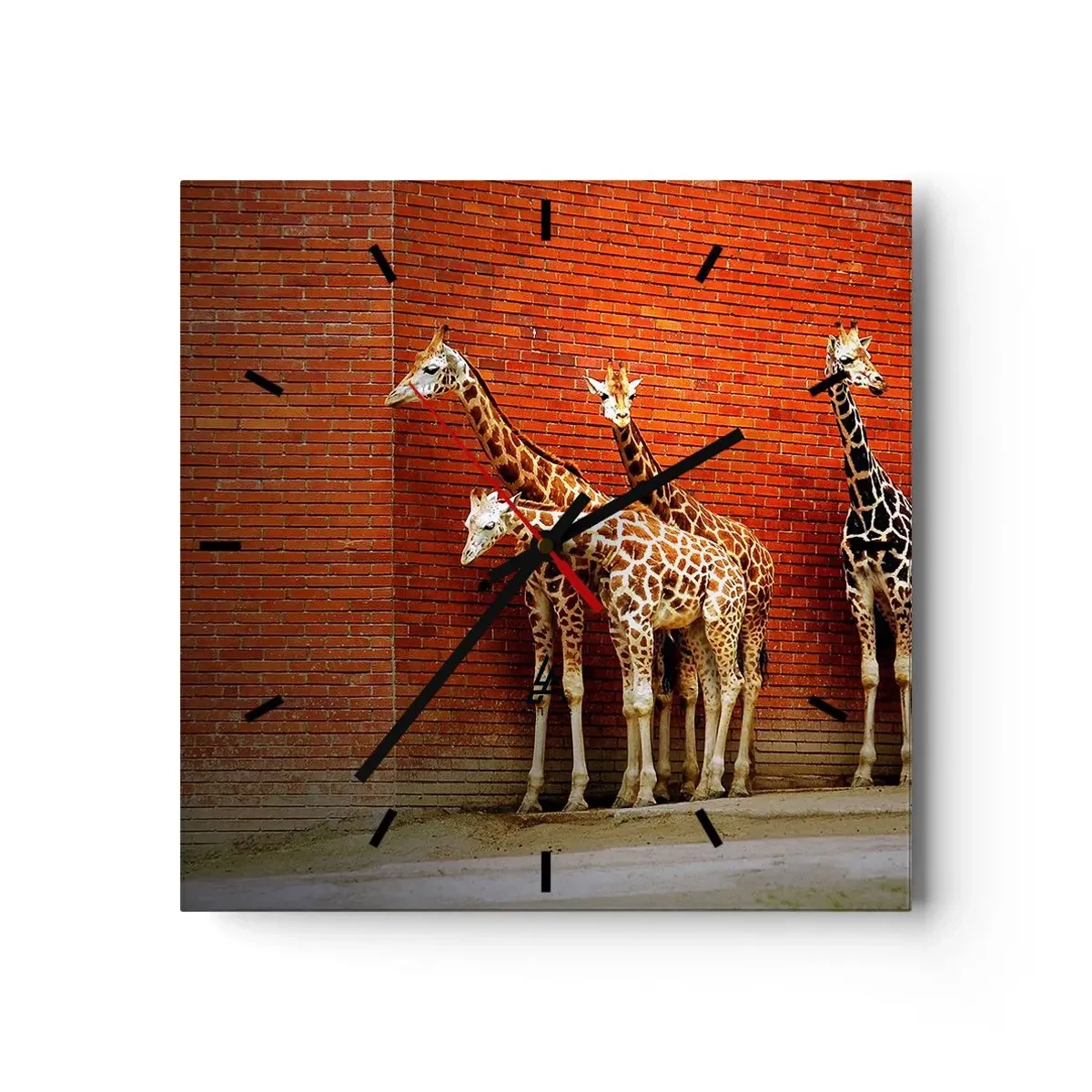 Reloj de pared - Reloj de vidrio - Cuatro jirafas contra una pared de ladrillos en un entorno artístico. - 30x30cm - ¿Ves alguna acacia? - Decoración de pared moderna para salón y dormitorio ARTTOR