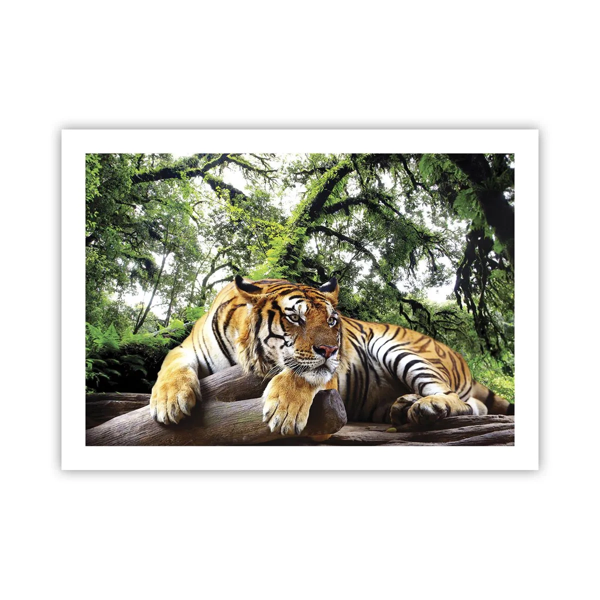 Póster - Atentamente - 70x50 cm