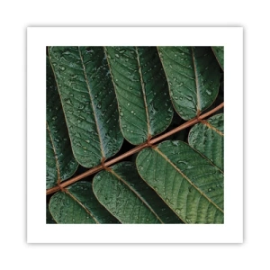 Póster - En un ritmo verde - 40x40 cm