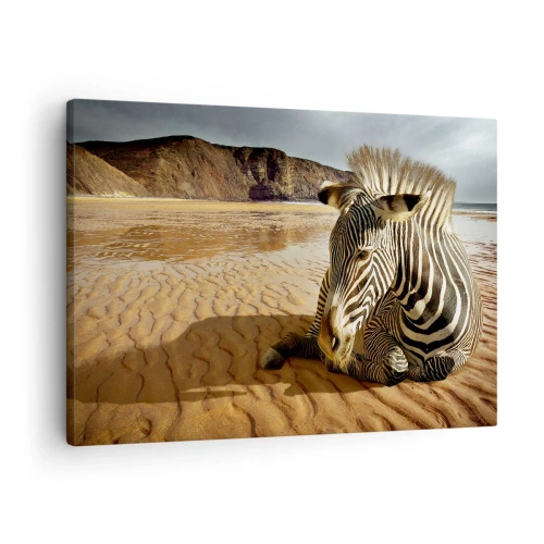 Cuadro sobre lienzo - Impresión de Imagen - Una cebra descansando en una playa de arena con acantilados al fondo. - 70x50cm - Encajamos juntos - Decoración de pared moderna para salón y dormitorio ARTTOR