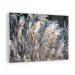 Cuadro sobre vidrio - Impresiones sobre Vidrio - Hierbas congeladas bajo el sol invernal - 70x50cm - Campos y campos - Decoración de pared moderna para salón y dormitorio ARTTOR