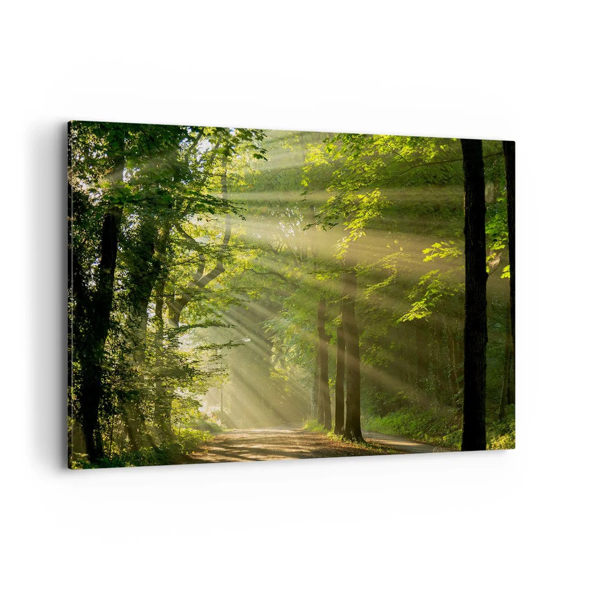 Cuadro sobre lienzo - Impresión de Imagen - Camino forestal con rayos de sol brillando a través de los árboles. - 100x70cm - Un momento en el bosque - Decoración de pared moderna para salón y dormitorio ARTTOR