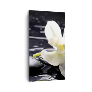 Cuadro sobre lienzo - Impresión de Imagen - Un estudio en blanco y negro - 45x80 cm