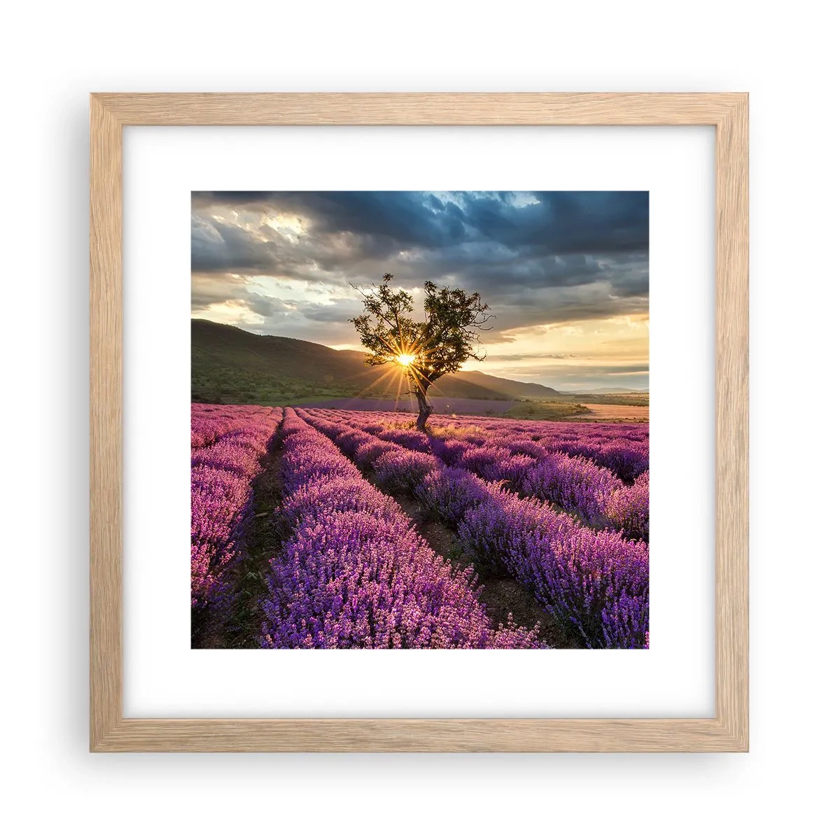 Póster en marco roble claro - Aroma en lila - 30x30 cm