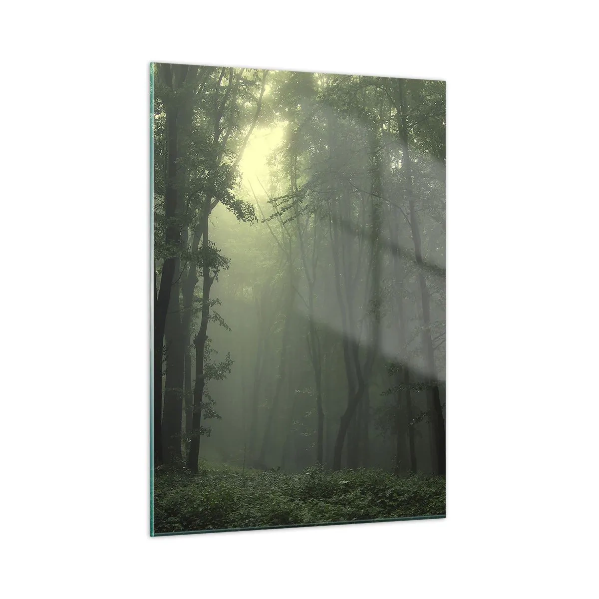 Cuadro sobre vidrio - Impresiones sobre Vidrio - Un bosque oscuro envuelto en niebla con rayos de luz. - 50x70cm - Antes de que se despierte el bosque - Decoración de pared moderna para salón y dormitorio ARTTOR
