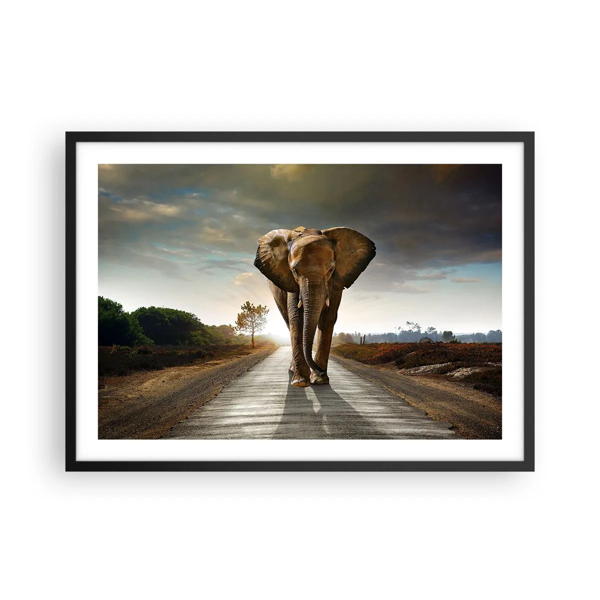Póster en marco negro - Un elefante caminando por una carretera a través de un paisaje al atardecer. - 70x50cm - Y para nada en un almacén de porcelana - Decoración de pared moderna para salón y dormitorio ARTTOR