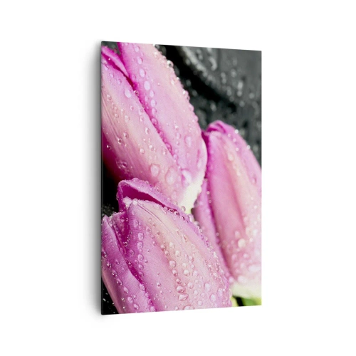 Cuadro sobre lienzo - Impresión de Imagen - Tres tulipanes rosas con gotas de agua sobre un fondo negro. - 80x120cm - Lilas sobre piedra negra - Decoración de pared moderna para salón y dormitorio ARTTOR