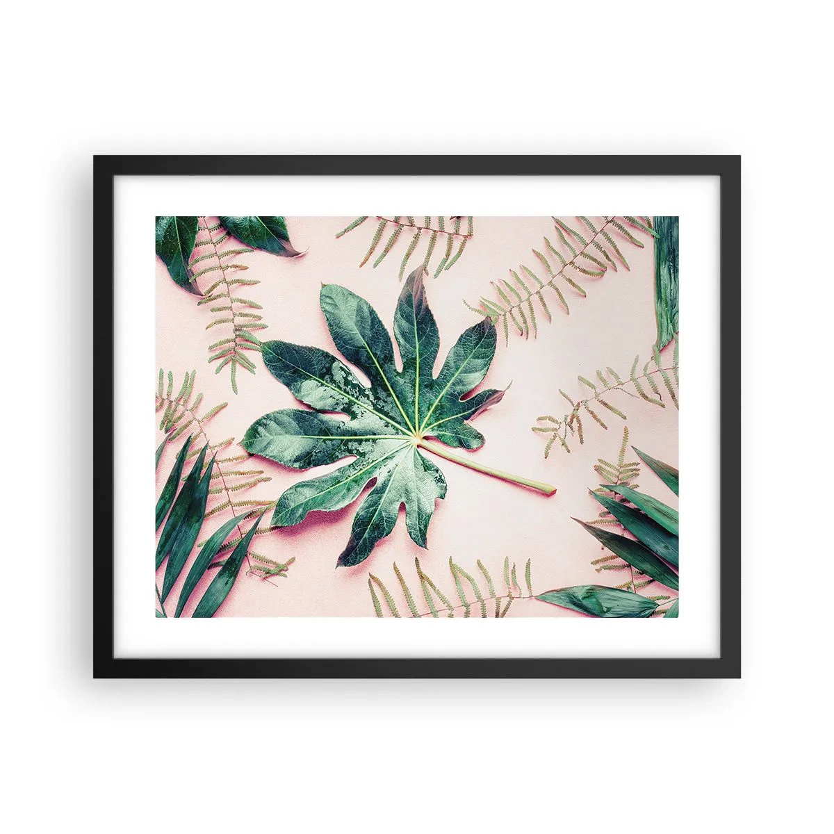 Póster en marco negro - Estudio de vegetación sobre fondo rosa - 50x40 cm