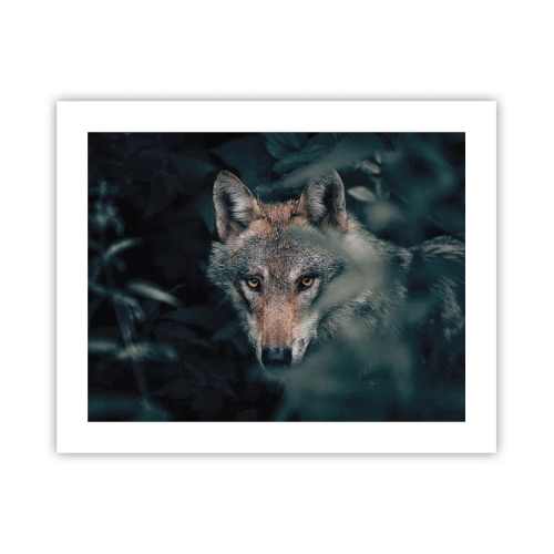 Póster - Cazador - 50x40 cm