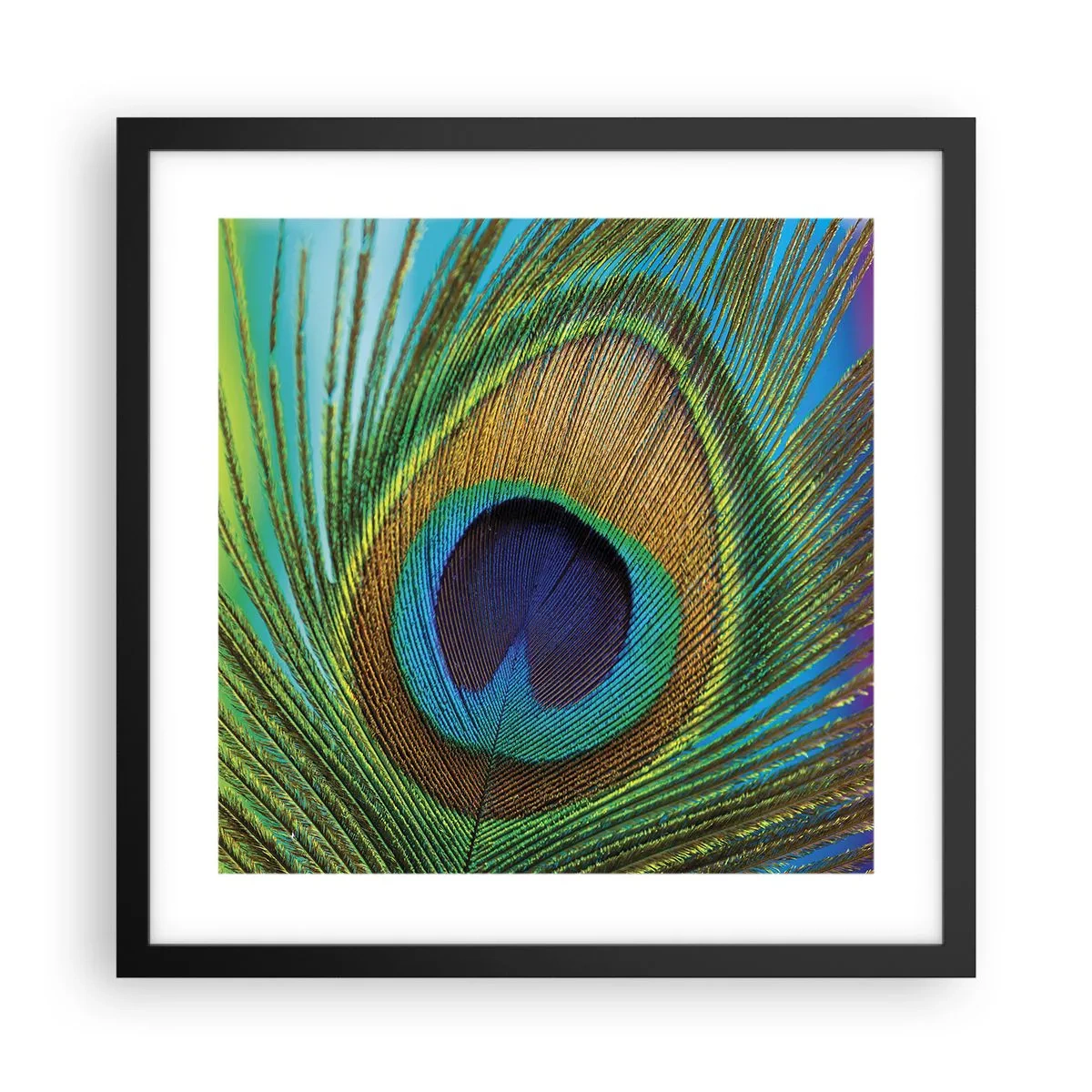 Póster en marco negro - Cara a cara - 40x40 cm