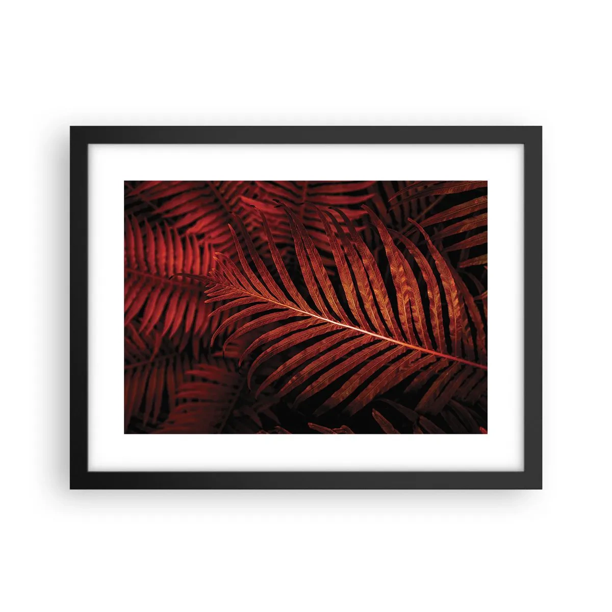 Póster en marco negro - Las brasas de la vida - 40x30 cm