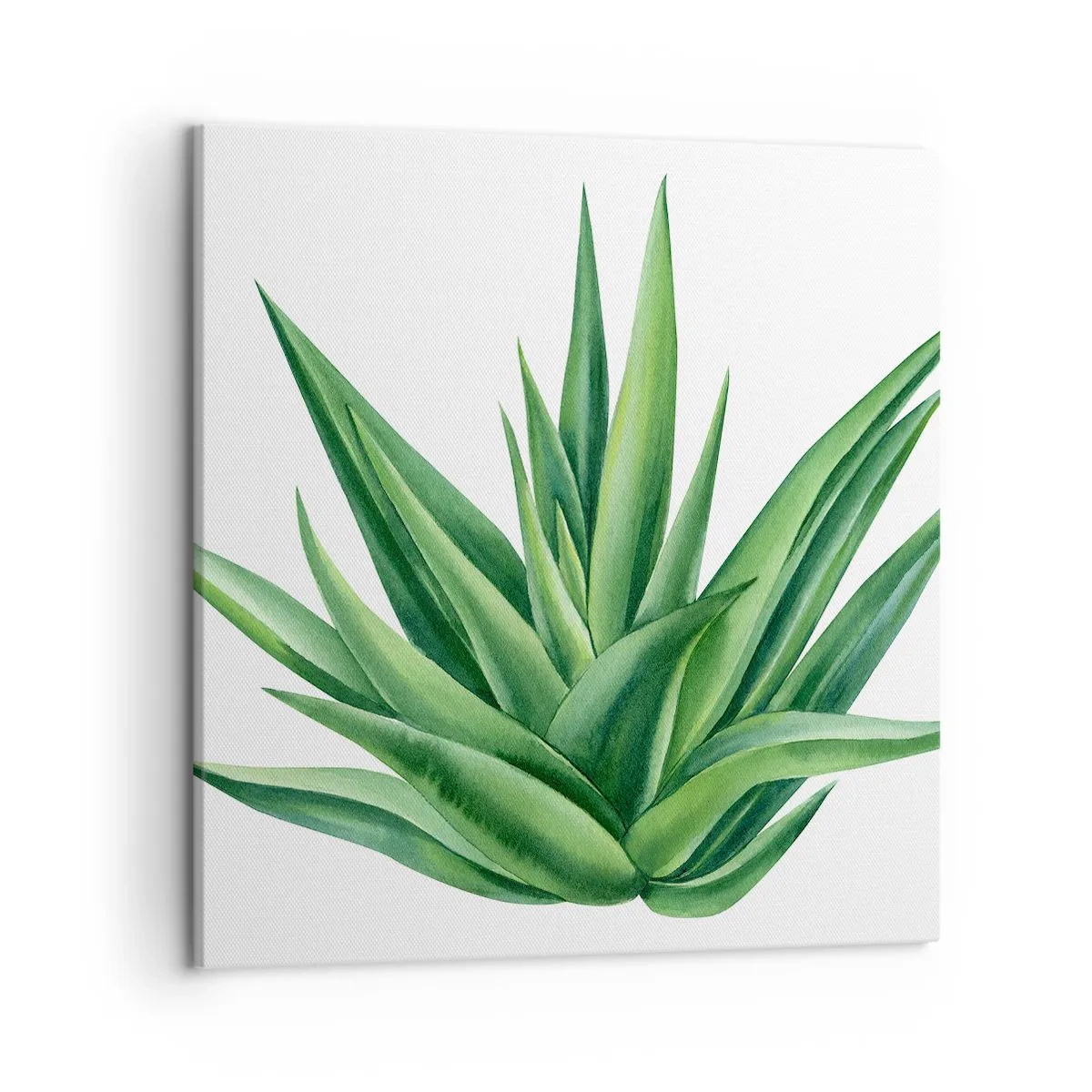 Cuadro sobre lienzo - Impresión de Imagen - Verde - fuerza - vida - 50x50 cm