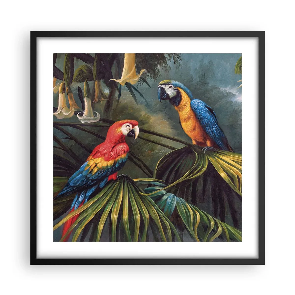 Póster en marco negro - Romanticismo en los trópicos - 50x50 cm