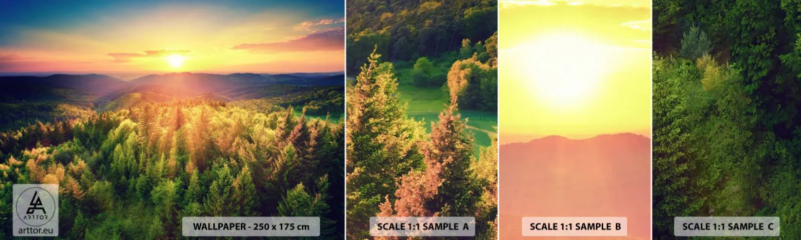 Muestra De Fotomural Standard Eco - Desde lo alto - Paisaje, Bosque, Montañas - 100x30 cm