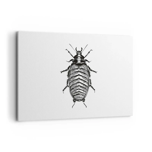 Cuadro sobre lienzo - Impresión de Imagen - Gráfico de un insecto en blanco y negro sobre un fondo blanco. - 100x70cm - ¡Qué espécimen! - Decoración de pared moderna para salón y dormitorio ARTTOR