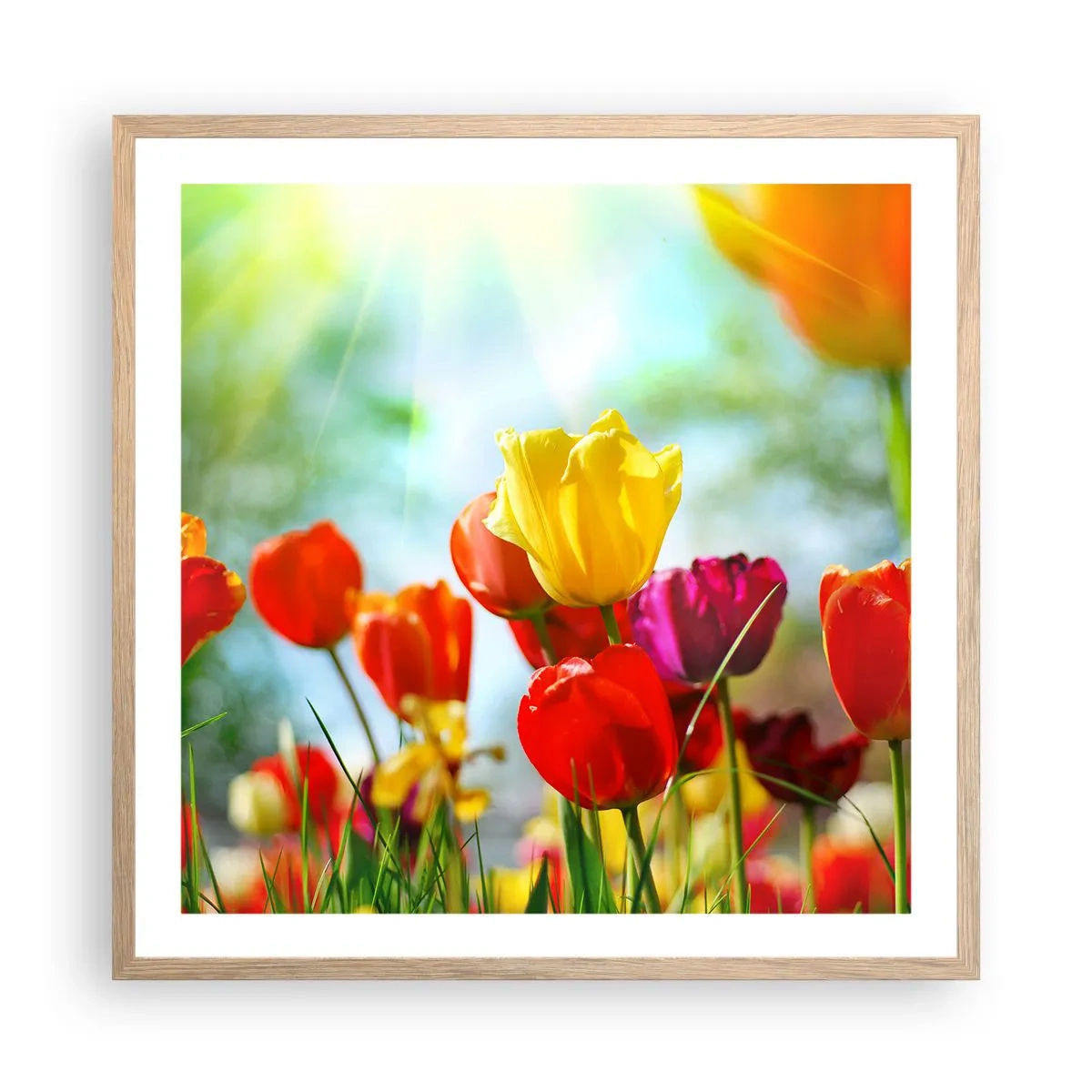 Póster en marco roble claro - Todos los tonos del sol - 60x60 cm