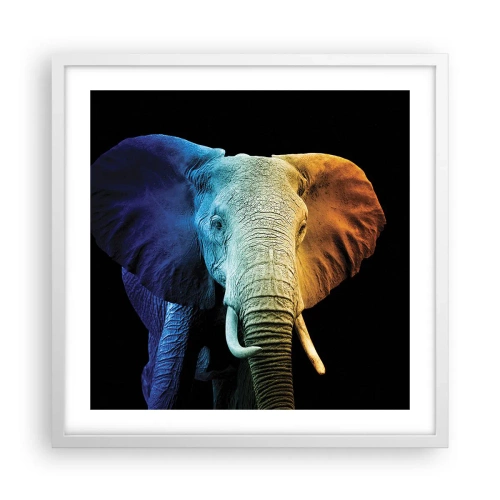 Póster en marco blanco - Excéntrico, no un bicho raro - 50x50 cm