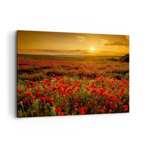 Cuadro sobre lienzo - Impresión de Imagen - Un campo de amapolas rojas bajo el resplandor del sol poniente. - 100x70cm - Entre los campos de flores - Decoración de pared moderna para salón y dormitorio ARTTOR