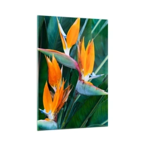 Cuadro sobre vidrio - Impresiones sobre Vidrio - Flores exóticas de strelitzia rodeadas de hojas verdes. - 80x120cm - ¿Es una flor o es un pájaro? - Decoración de pared moderna para salón y dormitorio ARTTOR