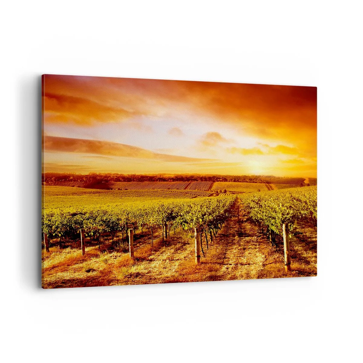 Cuadro sobre lienzo - Impresión de Imagen - Viñedo al atardecer con tonos cálidos del cielo. - 100x70cm - Delicadamente afrutado con un toque de sol - Decoración de pared moderna para salón y dormitorio ARTTOR